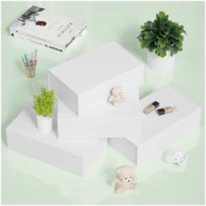 Aangepaste kleur geschenkdoos